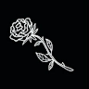 Meet your Posher, Nicki